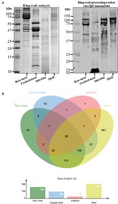 Occupational Allergic Sensitization Among Workers Processing King Crab (Paralithodes camtschaticus) and Edible Crab (Cancer pagurus) in Norway and Identification of Novel Putative Allergenic Proteins
